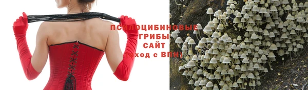 MESCALINE Липки