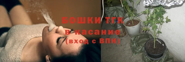 ешки Алзамай