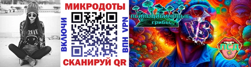 продажа наркотиков  Ковров  Галлюциногенные грибы прущие грибы 